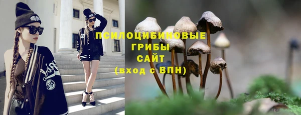 герыч Богородицк