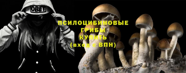 прущая мука Богданович